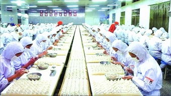 河南產速凍食品首次登陸非洲市場，開拓飲食文化交流新通道
